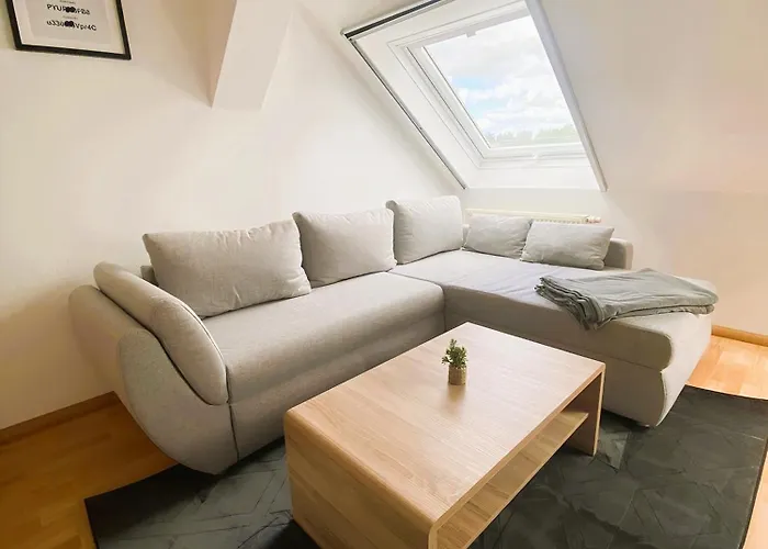 Gemuetliches Altbauapartment Iii Apartamento Chemnitz